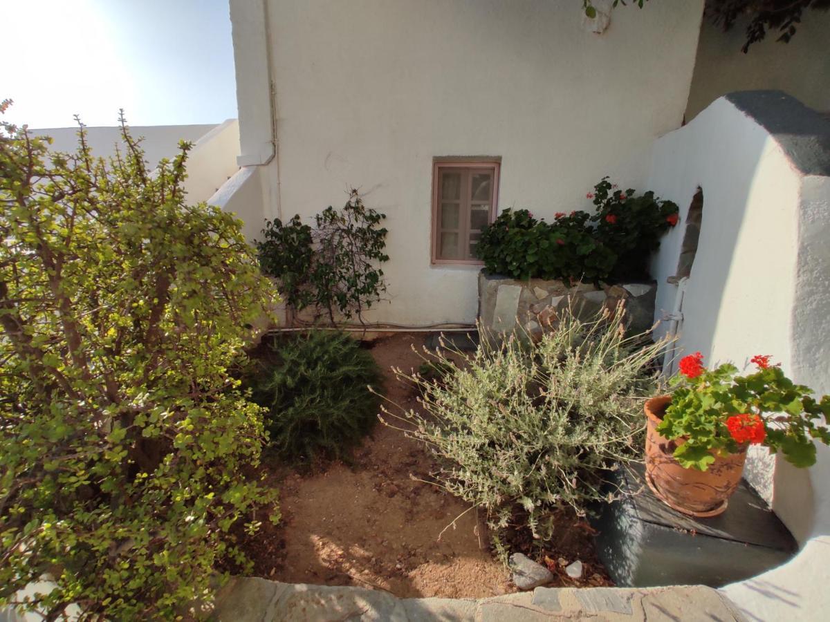 Porto Sikinos Hotel Alopronia エクステリア 写真